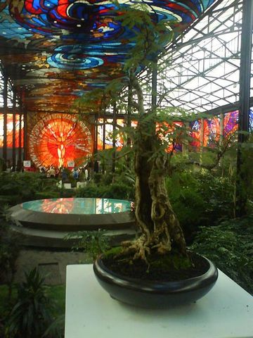COSMOVITRAL DE TOLUCA DE LERDO