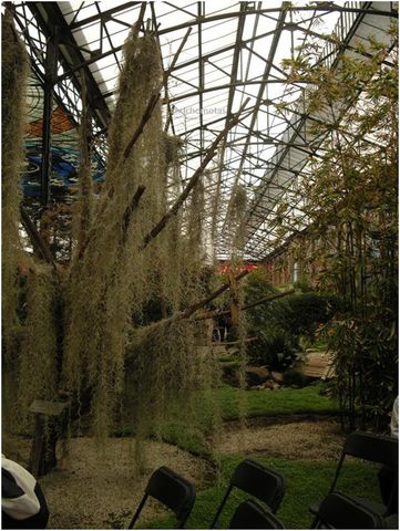 COSMOVITRAL DE TOLUCA DE LERDO