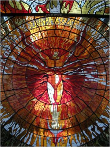 COSMOVITRAL JARDÍN BOTÁNICO
