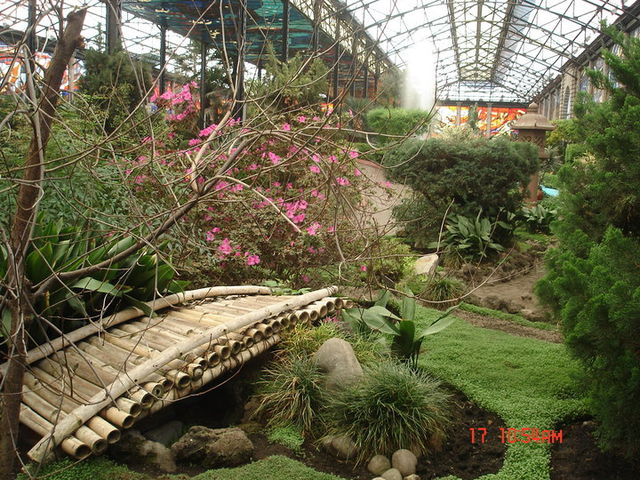 COSMOVITRAL DE TOLUCA DE LERDO